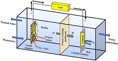 A Sustainable Approach for the Production of Green Energy With the Holistic Treatment of Wastewater Through Microbial Electrochemical Technologies: A Review